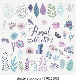 Floral collection with vintage flowers and birds. Vector illustration