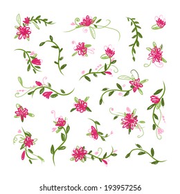 Floral collection for your design