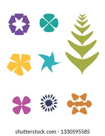 Floral colorful ornamental flowers 