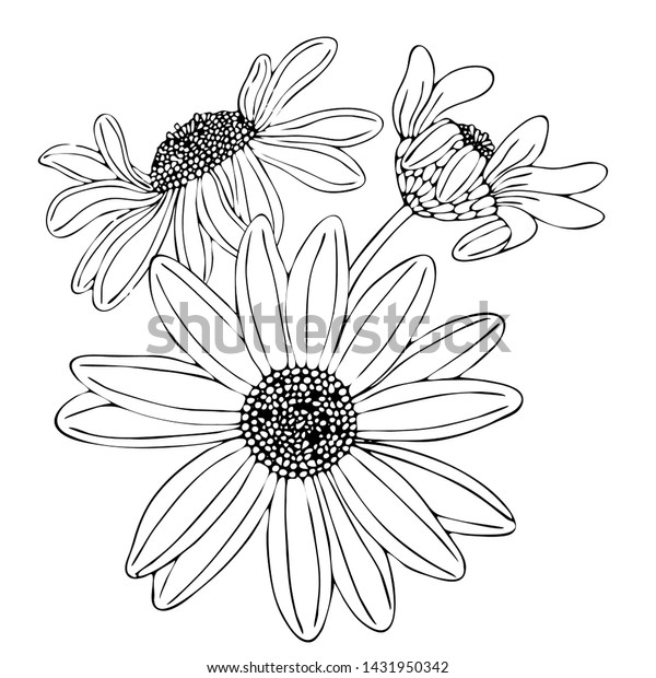 Floral Coloring Template Black Line Flower Stock Vector (Royalty Free) 1431950342 Floral Coloring Template Black Line Flower Stock Vector (Royalty Free) 1431950342