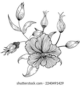 Floral composition, floral background with tender flowers and branches of buds. Hand drawing. For stylized decor, invitations, postcards, posters, cards, backgrounds, as clipart or coloring page