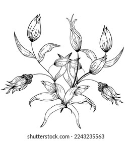 Floral composition, floral background with tender flowers and branches of buds. Hand drawing. For stylized decor, invitations, cards, posters, flyers, for printing on fabric and paper, for backgrounds