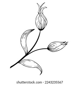 Floral composition, floral background with tender flowers and branches of buds. Hand drawing. For stylized decor, invitations, cards, posters, flyers, for printing on fabric and paper, for backgrounds