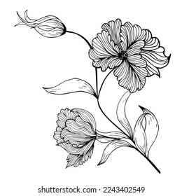 Floral composition, floral background with tender flowers and branches of buds. Hand drawing. For stylized decor, invitations, cards, posters, flyers, for printing on fabric and paper, for backgrounds