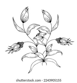 Floral composition, floral background with tender flowers and branches of buds. Hand drawing. For stylized decor, invitations, cards, posters, flyers, for printing on fabric and paper, for backgrounds