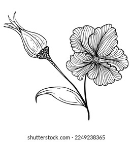 Floral composition, floral background with tender flowers and branches of buds. Hand drawing. For stylized decor, invitations, cards, posters, flyers, for printing on fabric and paper, for backgrounds