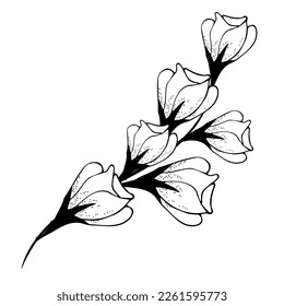 Floral composition, floral background with tender flowers and branches of buds. Hand drawing. For stylized decor, invitations, cards, posters, flyers, for printing on fabric and paper, for backgrounds