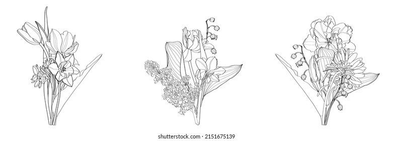 Floral composition. Bouquet with hand drawn spring flowers and plants. Monochrome line illustration in sketch style.