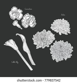 Floral composition. Bouquet with hand drawn spring flowers and plants. Monochrome vector illustration in sketch style.