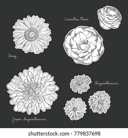 Floral composition. Bouquet with hand drawn spring flowers and plants. Monochrome vector illustration in sketch style.