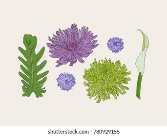 Floral composition. Bouquet with hand drawn spring flowers and plants. Monochrome vector illustration in sketch style.