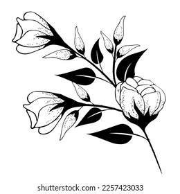 Die Blumenkomposition ist zart, floraler Hintergrund mit zarten Blumen und Ästen von Knospen. Handzeichnung. Für stilvolle Dekoration, Einladungen, Karten, Poster, Flyer, Hintergründe, als Clipkunst oder Farbgebung