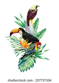 Floral composition exotic tropical birds toucan and parrot sitting on a palm banana leaves and Strelitzia flower. Print nature fashion illustration painting jungle wallpaper on a white background