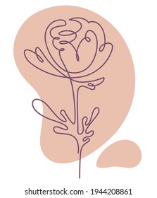 Floral composition of flower with stem and leaves. Isolated botany plant in continuous line art. Elegant flourishing with color, ornamental or romantic emblem or label for package. Vector in flat