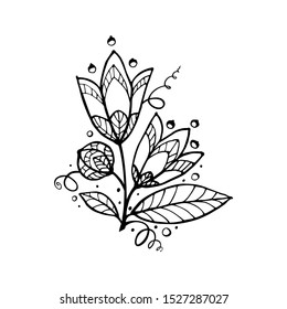 Floral composition. Flowers drawing with line-art, isolated on white background. Eps10 vector.