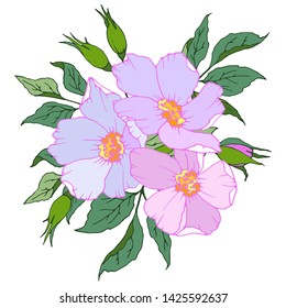floral composition of flowers and leaves in spring colors