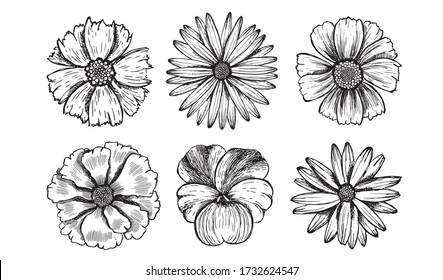 Floral composition. Flowers set. Hand drawn illustrations.