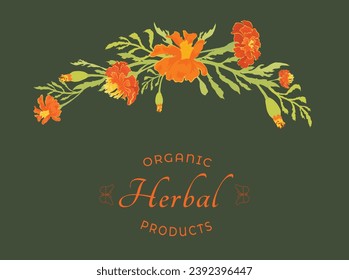 Floral composition from hand-drawn garden plants made as a prolonged, slightly arched-down bouquet or border. Delicate herbal plants for cosmetic products. Sample text for floral product label.