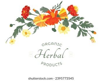 Floral composition from hand-drawn garden plants made as a prolonged, slightly arched-down bouquet or border. Delicate herbal plants for cosmetic products. Sample text for floral product label.