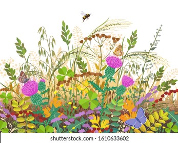 Floral composition made with autumn meadow plants and insects. Fading grass, colorful wild flowers, bumblebee and butterflies on white background.  Vector flat illustration.