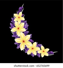 Floral composition on black background. Plumeria and lavender flowers. Vector illustration EPS 10.