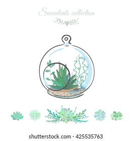 floral composition with succulents in decorative glass bowl, vector floral illustration