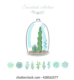 floral composition with succulents in decorative glass container, vector illustration, succulents isolated on white