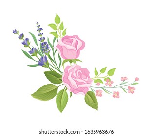 Floral Composition of Tender Rose Bud and Lavender Twigs Vector Illustration