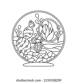 Floral compositions coloring page. Cactuses and succulents in decorative round glass terrarium. Tropical and desert plants for interior. Vector illustration