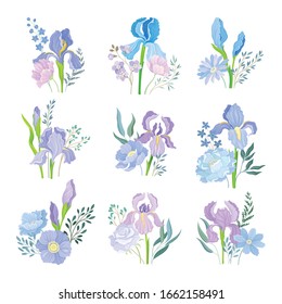 Floral Compositions with Purple Iris Flowers on Green Erect Stem Vector Set