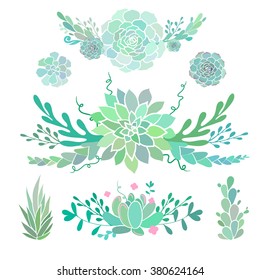 floral compositions with succulents, vector floral decorative borders, vector decorations with succulent plants and flowers, isolated on white