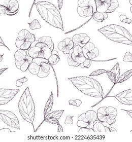 Floral contour drawing on a white background. Hydrangea inflorescences, leaves and twigs, seamless pattern. Vector.