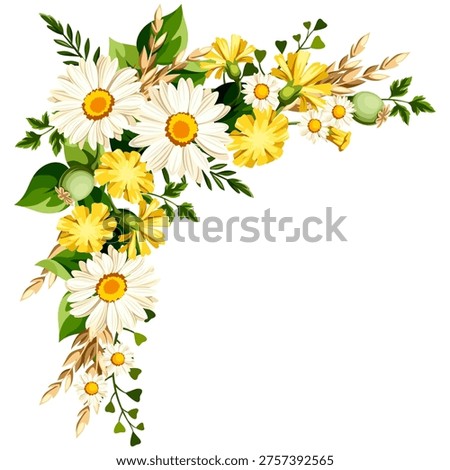 Floral corner border with yellow and white daisies and dandelion flowers and ears of wheat isolated on a white background. Vector design element. Hand-drawn illustration, not AI