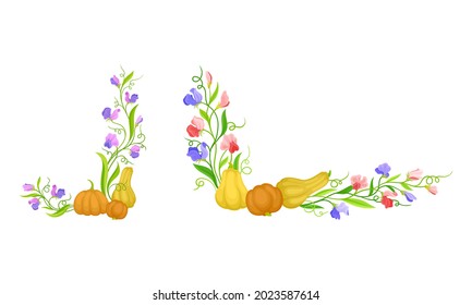 Composición floral de calabaza y flor púrpura con conjunto vectorial y tendril