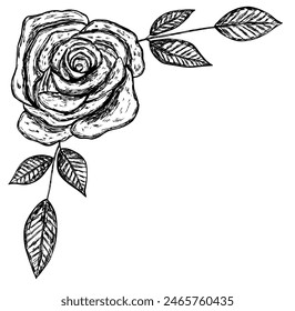 Floral corner frame with rose flower and leaves in hand drawn sketch style