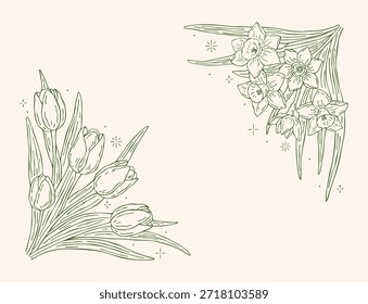 Composições vetoriais de canto floral desenhadas à mão com tulipas e narcisos e estrelas decorativas em estilo de contorno. Cantos de primavera elegantes para convites, artigos de papelaria, marcas e desenhos ornamentais