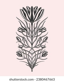 Floral crocus plant in art nouveau 1920-1930. Hand drawn crocus in a linear style with weaves of lines, leaves and flowers. Vector illustration.