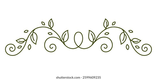 Elemento de curvatura floral. Natureza decorativa girando divisor com folhas.