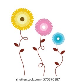 floral cute frame decorative