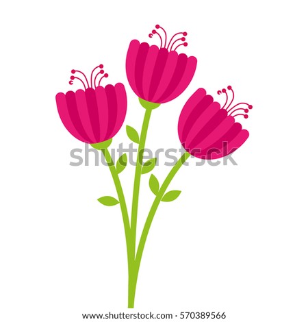 floral cute frame decorative