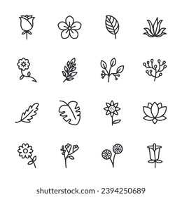 Floral dan flower icon set