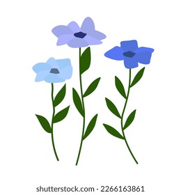 Floral decor. periwinkle flower for different design. Vinca minor. Wild blue flowers on white background. flower vector illustration. Fritillaria. Medical plants.