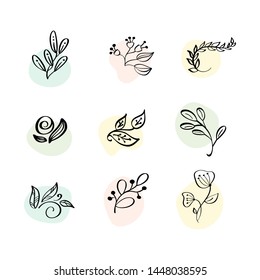 Floral Decoration Branch Leaf Plant Line Stroke Icon Pictogram Symbol Set Collection. Hand drawn Logo doodle Vector Illustration