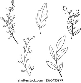 Floral decoration branch leaf plant line