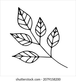 Floral decoration branch leaf plant line