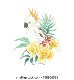 Floral decoration with flowers Canna Tropicanna, orchid, leaves and white parrot Cockatoo. Vector illustration in vintage style.