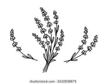 Floral decoration isolated lavender bouquet flowers silhouettes on white background