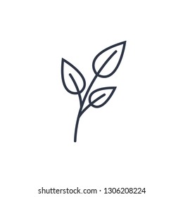 Floral Decoration Line Icon. Thin line style Floral Icon. 