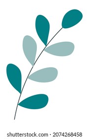 Floral decoration or ornament, isolated evergreen plant branches with leaves and green foliage. Minimalist twig of bush or tree, postcard adornment with exotic herb. Vector in flat style illustration
