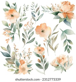 Floral decoration set. Botanic arrangements with colorful flowers, leaf, branch. Flower elements for wedding, greeting card or logo composition design. Vector illustration